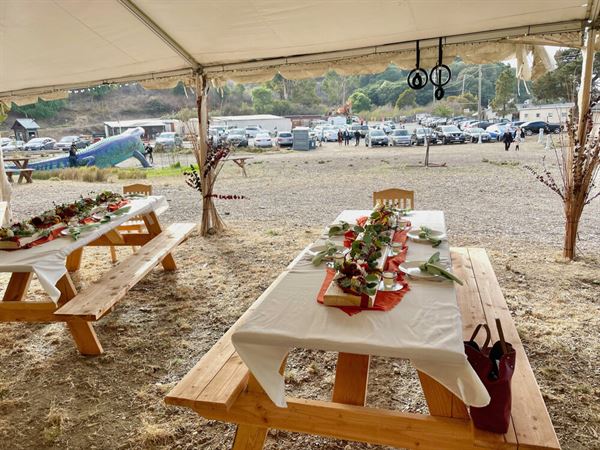 Point San Pablo Harbor