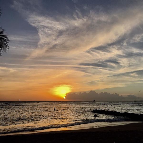 Michel's At The Colony Surf