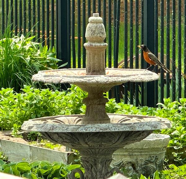 The Wen Inn - Formerly The Andor Wenneson