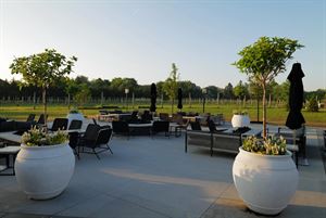 Vineyard Patio
