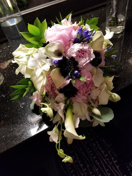 Annie Occasion for Any Occasion