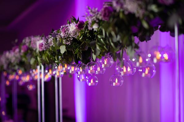 Annie Occasion for Any Occasion