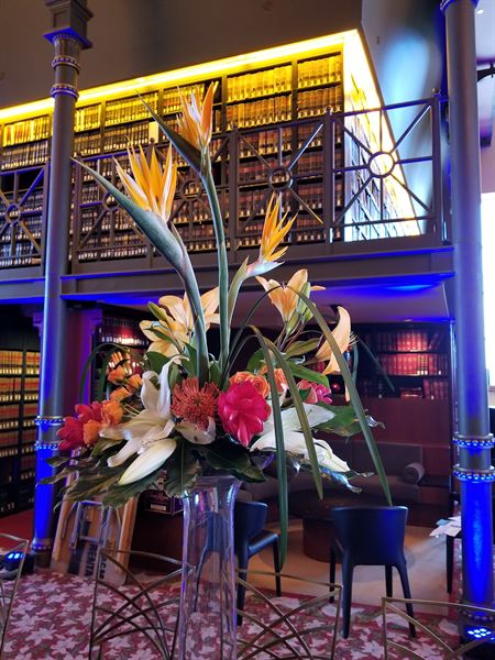 Annie Occasion for Any Occasion