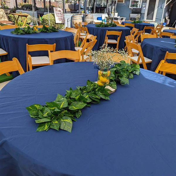 Bonita Bash Planning