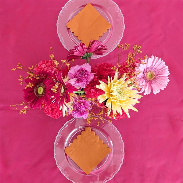 Bonita Bash Planning