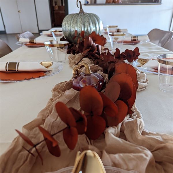 Bonita Bash Planning