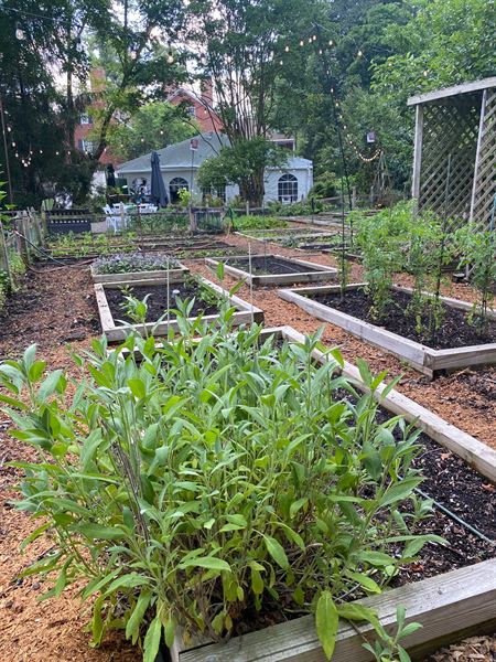 Elkridge Furnace Inn