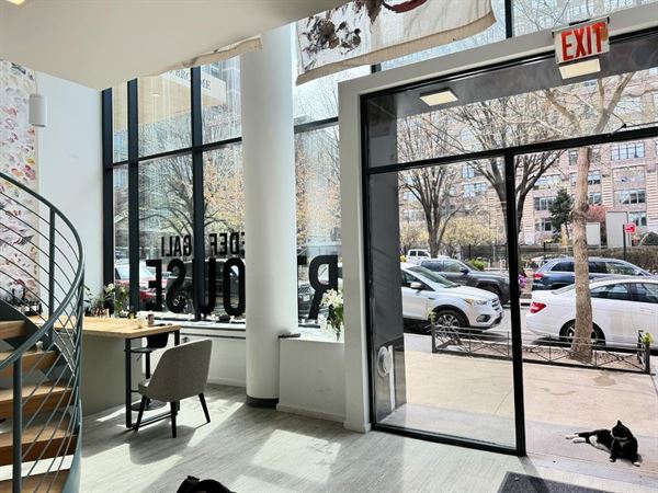 ArtHouse by Sedef Gali