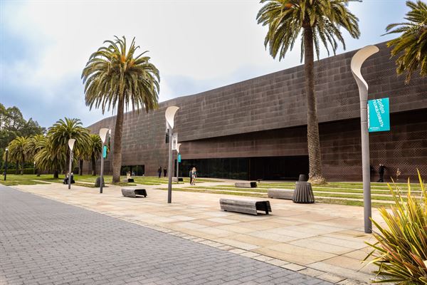 De Young Museum