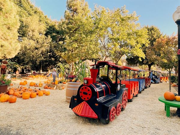 Lemos Ponies for Parties