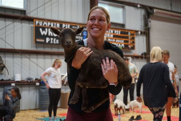 Lemos Ponies for Parties