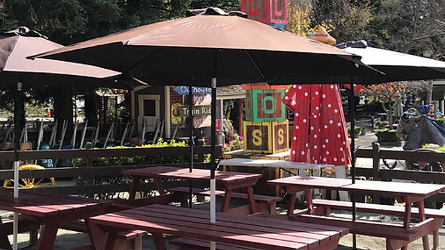 Lemos Ponies for Parties