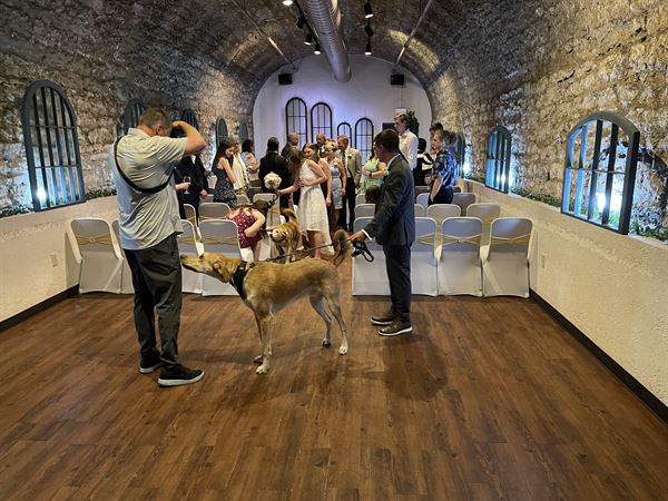 Graystone Wine Cellar