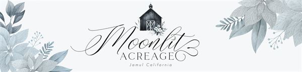 Moonlit Acreage