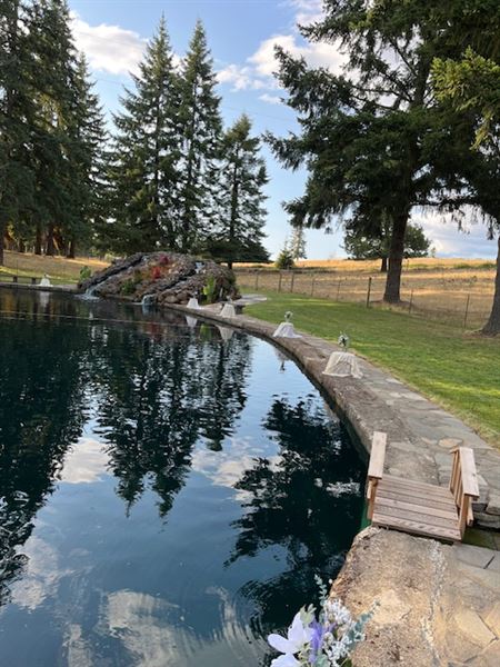 Collins Pond & Lodge