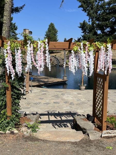 Collins Pond & Lodge