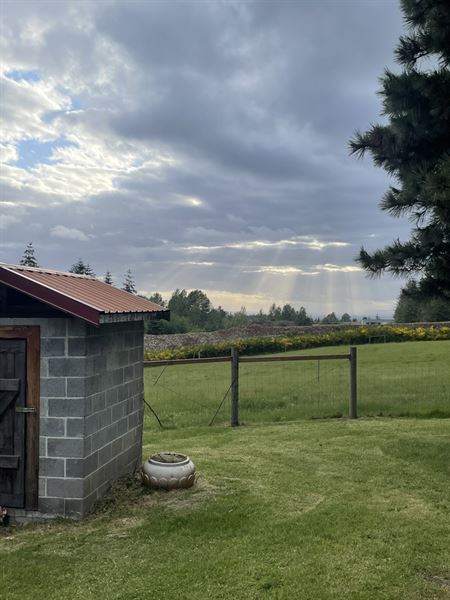 Collins Pond & Lodge