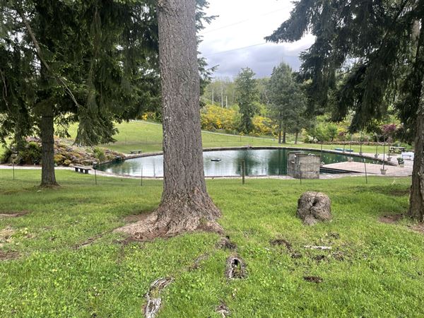 Collins Pond & Lodge