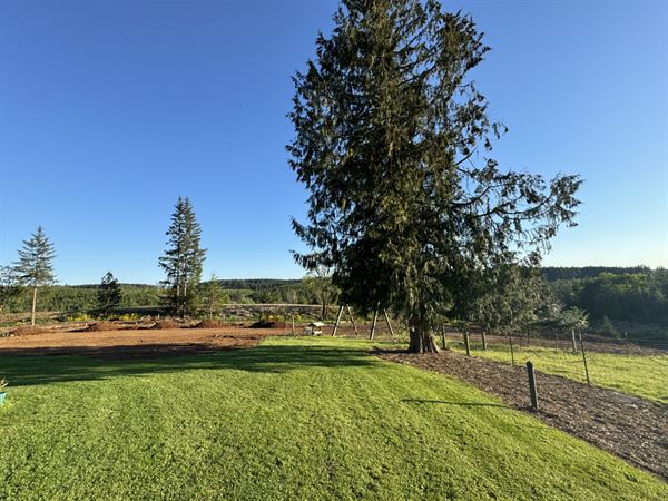 Collins Pond & Lodge