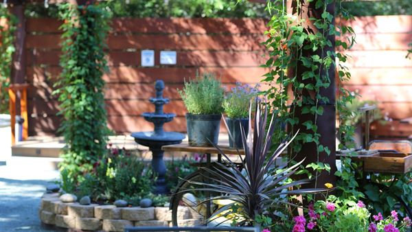 Sycamore Mineral Springs Resort