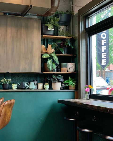 Little Native Coffee