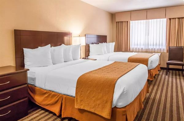 Quality Inn & Suites