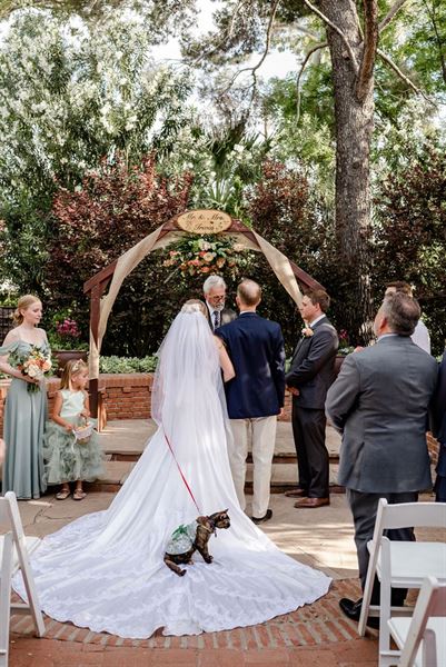 Tucson Botanical Gardens