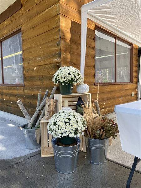 Martens Resort on Timothy Lake