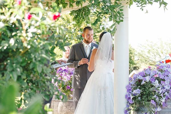 Wooden Shoe Tulip Farm