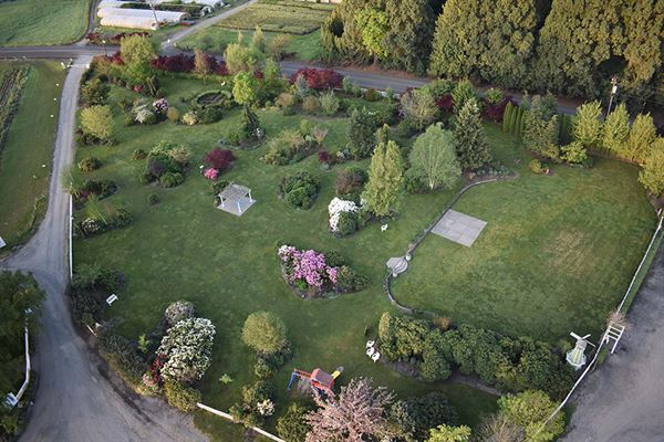Wooden Shoe Tulip Farm