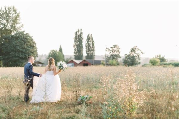 The Fields at Willie Greens