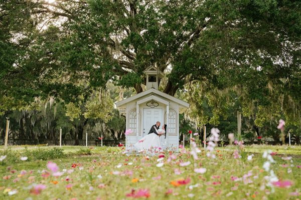 Visual Arts Wedding Photography