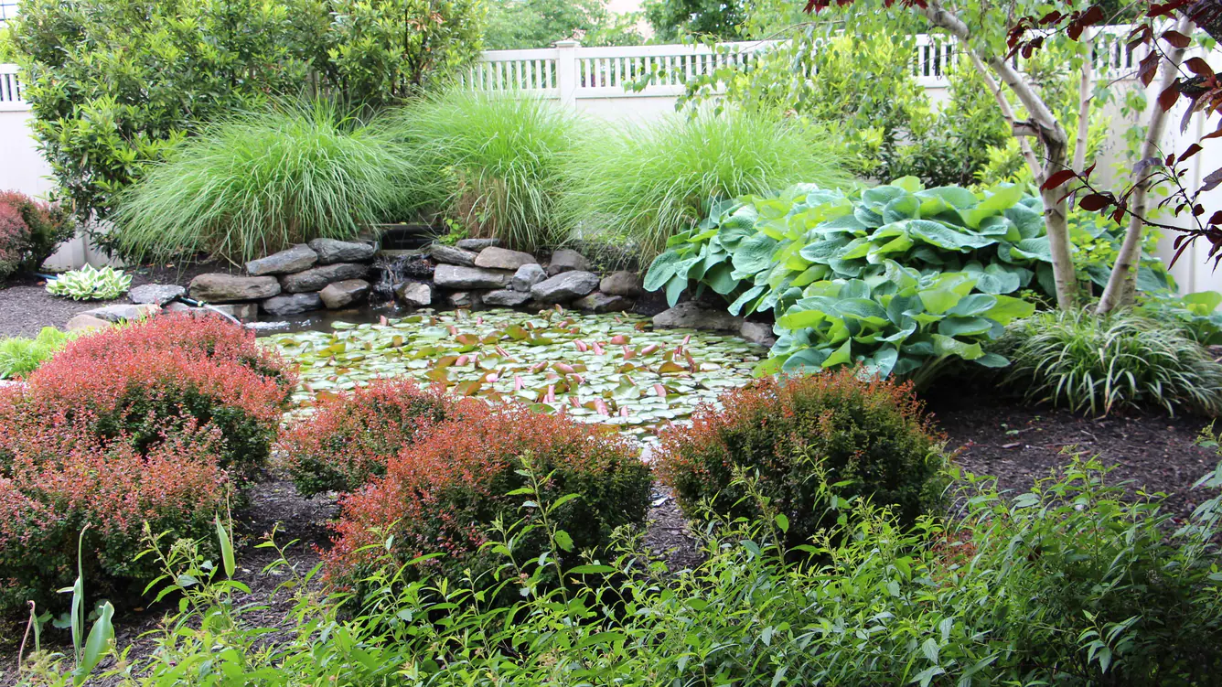Courtyard Lyndhurst Meadowlands