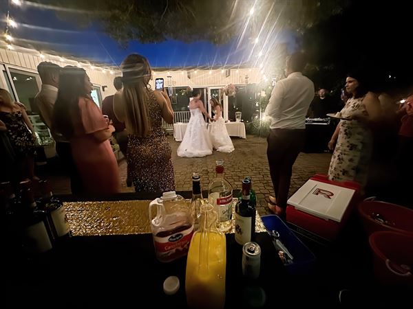 Spirit Island, bartender