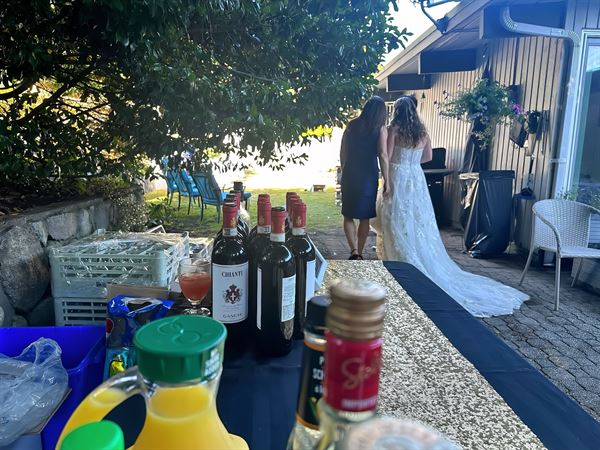 Spirit Island, bartender