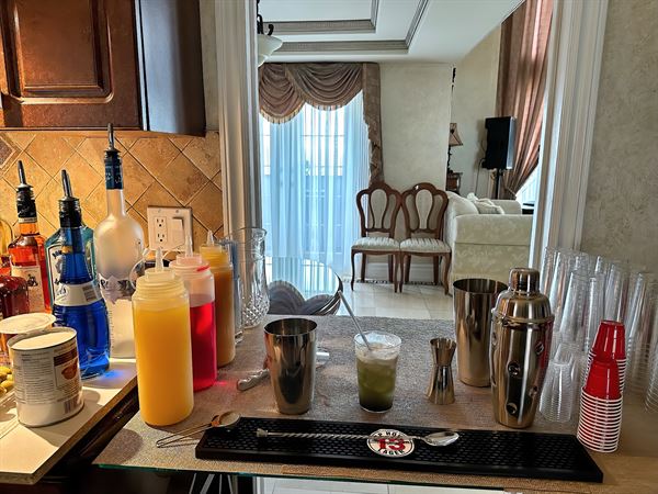 Spirit Island, bartender