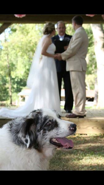 Poplar Hill Wedding and Events Venue