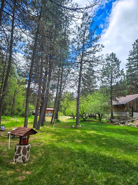 Woodstock Wishing Well