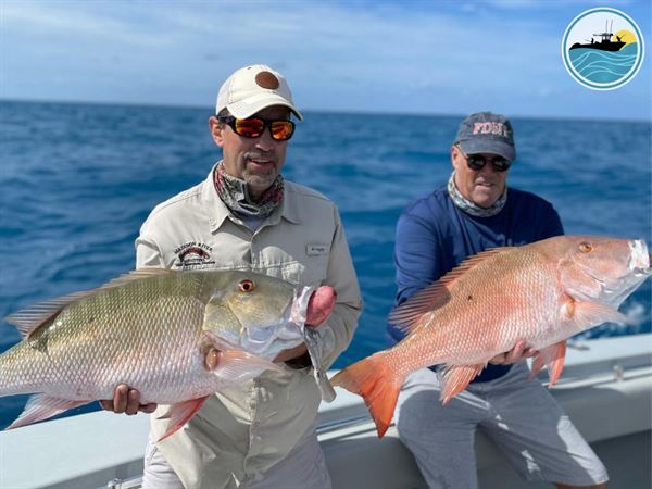 Fish Daily Charters