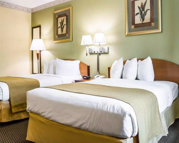 Quality Inn Tampa Airport-Cruise Port