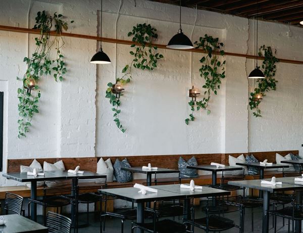 The Plot South Oceanside