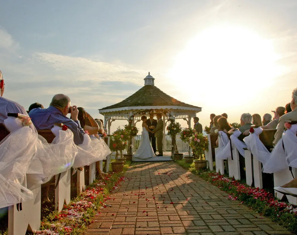 Three Sisters Vineyards