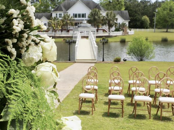 The Ivy on the Plains