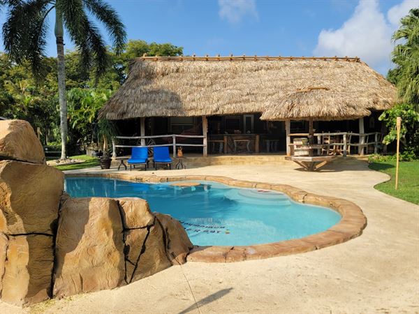 The Celebration House