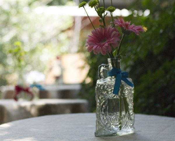 Blue Moon Saloon and Guest House