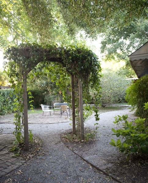 Blue Moon Saloon and Guest House