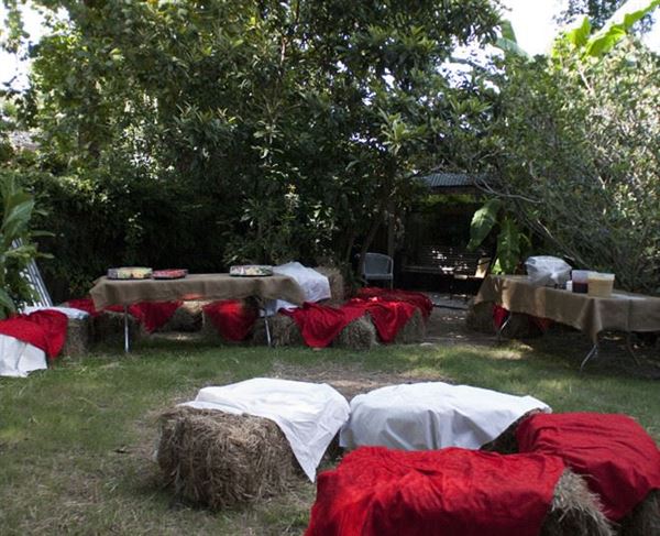 Blue Moon Saloon and Guest House