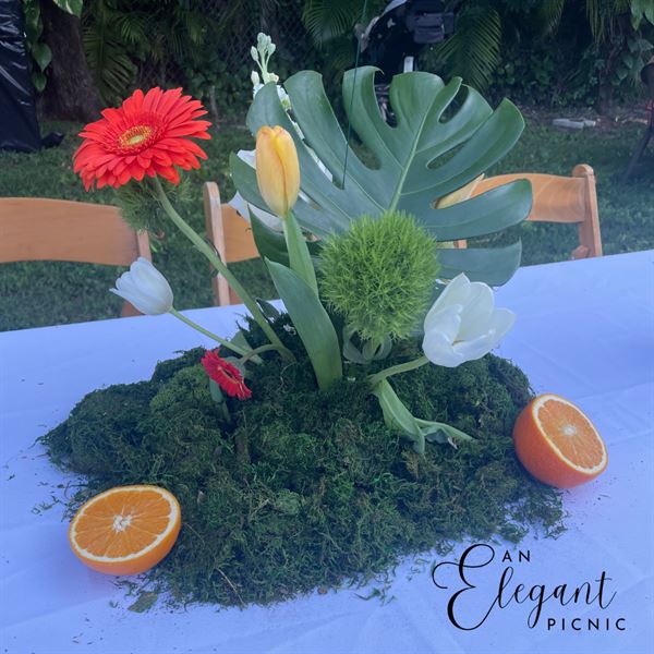 Lights Camera Selfies Balloon Studio