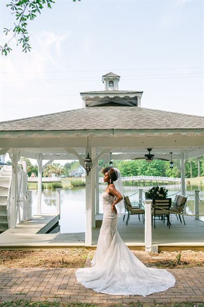 The Ivy on the Plains