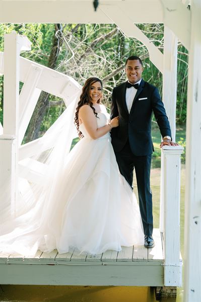 The Ivy on the Plains